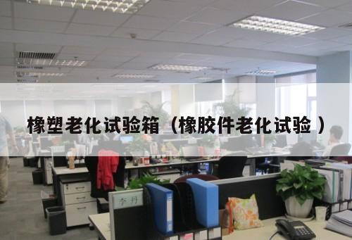 橡塑老化試驗(yàn)箱（橡膠件老化試驗(yàn) ）