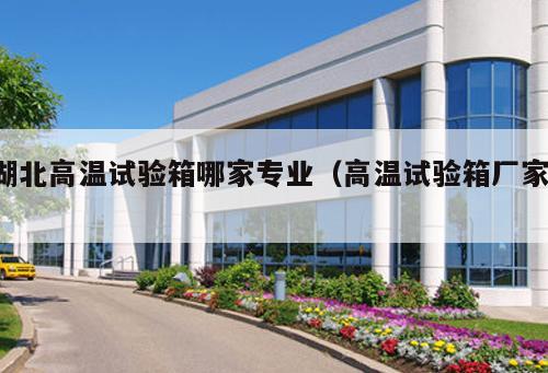 湖北高溫試驗(yàn)箱哪家專業(yè)（高溫試驗(yàn)箱廠家 ）