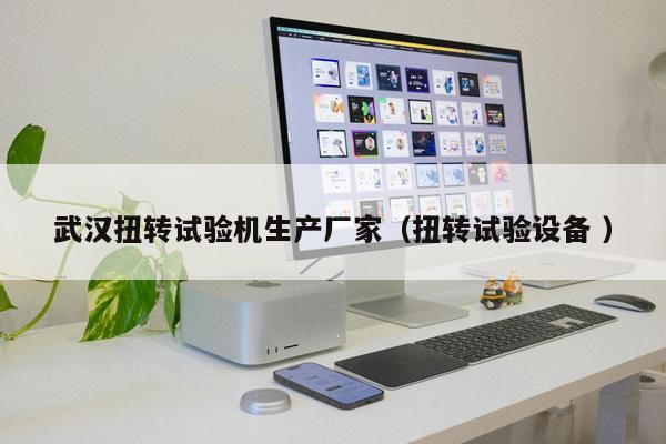 武漢扭轉(zhuǎn)試驗機生產(chǎn)廠家（扭轉(zhuǎn)試驗設備 ）