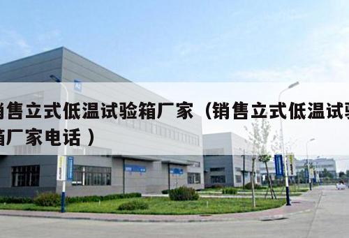 銷售立式低溫試驗箱廠家（銷售立式低溫試驗箱廠家電話 ）