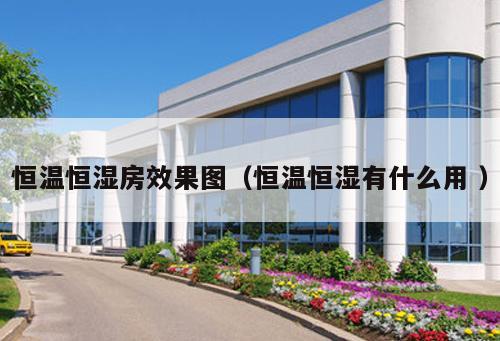恒溫恒濕房效果圖（恒溫恒濕有什么用 ）