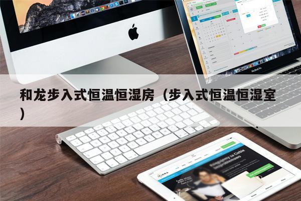 和龍步入式恒溫恒濕房（步入式恒溫恒濕室 ）