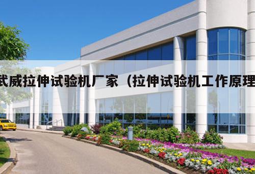 武威拉伸試驗機(jī)廠家（拉伸試驗機(jī)工作原理 ）