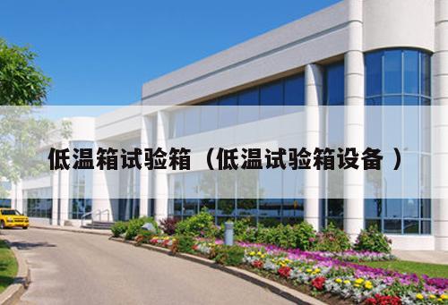 低溫箱試驗箱（低溫試驗箱設(shè)備 ）