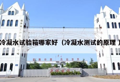 冷凝水試驗(yàn)箱哪家好（冷凝水測試的原理 ）