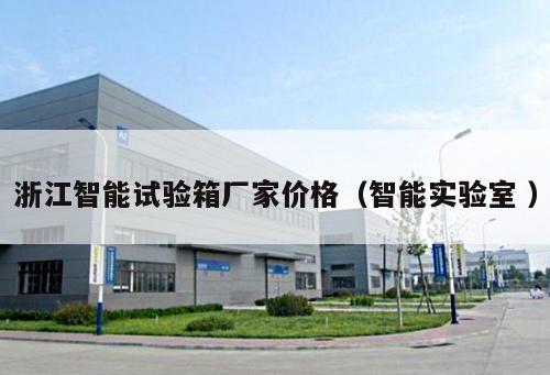 浙江智能試驗(yàn)箱廠家價(jià)格（智能實(shí)驗(yàn)室 ）