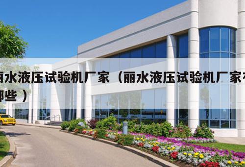 麗水液壓試驗(yàn)機(jī)廠家（麗水液壓試驗(yàn)機(jī)廠家有哪些 ）