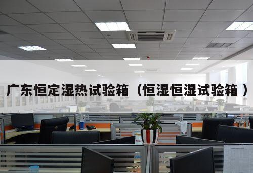 廣東恒定濕熱試驗(yàn)箱（恒濕恒濕試驗(yàn)箱 ）