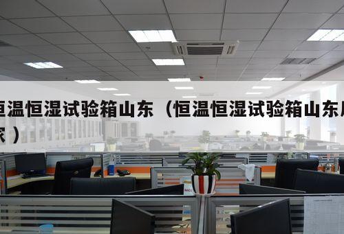 恒溫恒濕試驗箱山東（恒溫恒濕試驗箱山東廠家 ）