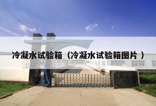冷凝水試驗(yàn)箱（冷凝水試驗(yàn)箱圖片 ）